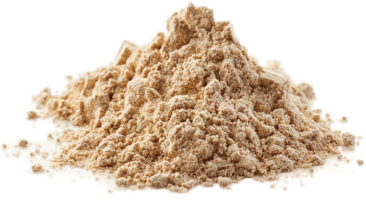 GetSynaptigen.Com best brain health supplement